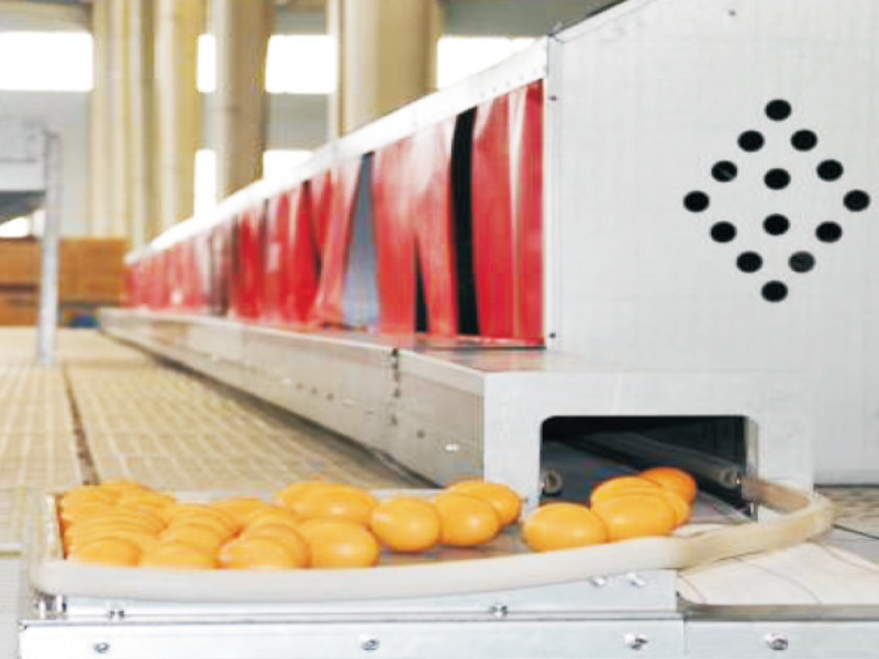 Đội ngũ kỹ thuật và R & D mạnh mẽ