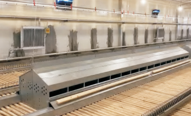 Hệ thống thu trứng tự động (ổ trứng nhỏ)